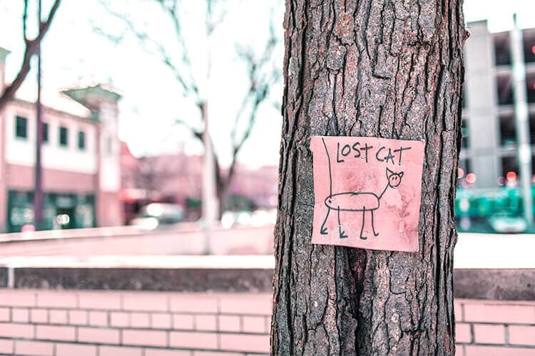Importancia identidad visual Branding