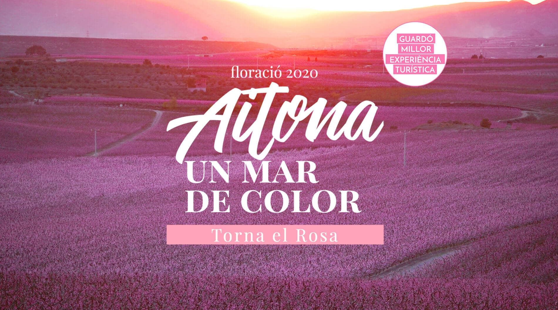 La Pometa Agència